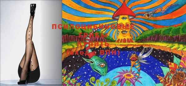 спайс Новодвинск